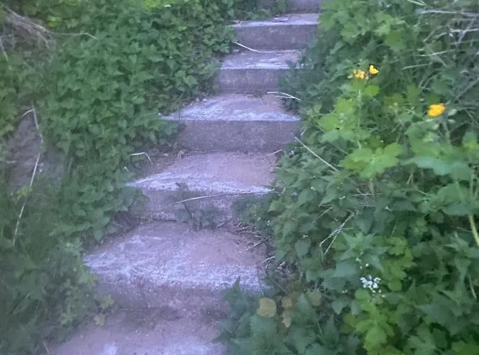 Bed & Breakfast Anna