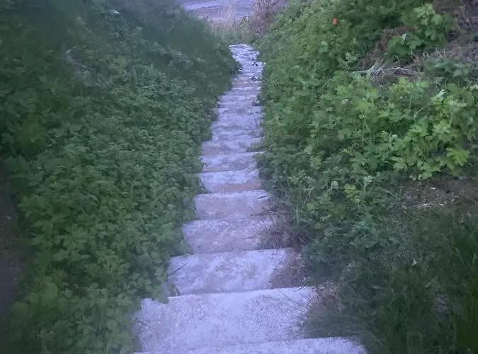 Bed & Breakfast Anna Kallaste (Lake Peipus)