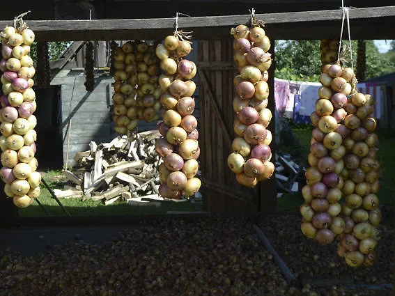 Bed & Breakfast Anna *