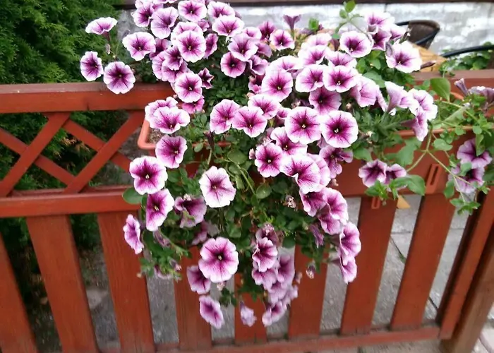 Bed & Breakfast Anna